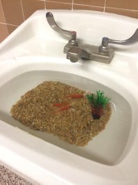 Аквариумисты - сумасшедшие фантазеры