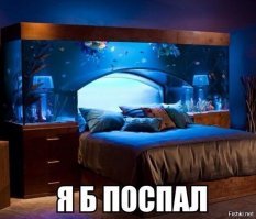 Аквариумисты - сумасшедшие фантазеры