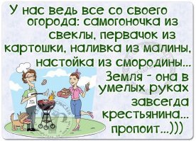 "Сахарная голова"