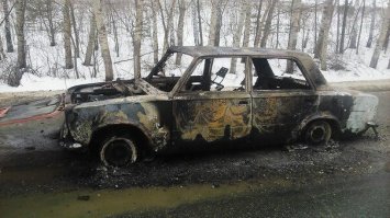 Автовсячина
