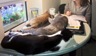 У нас группа поддержки больше