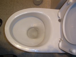 Спасибо всем!
Продолжу про сантехническую утварь - унитазы.
Сразу скажу, у меня "Kolo - Solo" (Польша). Стоит больше 15 лет, ничего не менял.
Нарадоваться не могу. Первое время сильно удивляло, что вроде бы сходил, а результата не видно - он спрятался, самоустранился. Ершиком пользуемся редко. Можно сказать, что идеальная модель.
Но, раньше они продавались у нас и везли их из Польши. Потом поляки отдали производство Украине. И эта фирма практически исчезла с нашего рынка. Сейчас можно встретить некоторые модели, но не "Соло". Жаль.
Но, ближе к делу.
Небольшой обзор. По странам производителям. Фины - заслуженный авторитет еще с Советских времен. Сейчас уже не актуальны. Качество - да, но цена! Шведов лучше не рассматривать. Немцы, итальянцы - всегда дорого. Платим за лейбл. Испанцы (Roca), если брать, то только компактную сантехнику, громоздкая не стоит свеч, хотя выглядит, как авианосец. Китай - лучше не брать. Это не плохая сантехника, но лучше не брать. Покупать советую только чехов и поляков. Русские фирмы знаю, некоторые выглядят очень неплохо. Но не проверял. 
И помните, производство санфаянса везде одинаковое, как и производство смесителей.
Всё зависит от Отдела контроля качества.
НА ЧТО ОБРАЩАЕМ ВНИМАНИЕ!
Только на сливное отверстие! Это место, куда попадают отходы жизнедеятельности. Отходы под собственным весом могут сразу уходить в канализацию - это самый продуманный слив. Т.е. правильный расчет глубины этой дырки и углов наклона. Дырка не должна быть маленькой (при сливе вода будет наполнять чащу и отходы будут крутиться в ней), а должна быть достаточной, чтобы напор воды не скапливался в чаше, а уходил сразу в канализацию. 
Дырка должна быть БЛИЖЕ к бочку, а не по центру чаши. Уровень воды должен быть 1-2 см. в ровных стенках слива, а потом канал слива должен изгибаться. Желательно иметь кант против брызг от падающих предметов. 
Верхняя поверхность чаши должна быть горизонтальной, без всяких лишних заострений и скошенностей - седушка будет реже ломаться. (У шведов IFO есть такой "косяк"). Кстати, и у "Соло" есть небольшая скошенность, но не критическая.
Долго ли работает микролифт на седушке - не знаю. Претензий не было. Главное правильно ее собрать. Т.е. почитать сначала инструкцию, а потом собрать. А не наоборот.
Сиденье из дюропласта предпочтительней, чем полипропиленовое. Крепче, но дороже.
Если вы знакомы со словом "экономия", берите бачок с двойным сливом -3/6 л.
Никогда КРЕПКО не закручивайте кнопку спуска/слива , которая одновременно служит крепежем крышки бачка. Из-за этого кнопка может работать не корректно и механизм слива быстро выйдет из строя. Пускай даже немного болтается - ничего страшного. 
Если при наборе воды большой шум, уменьшите давление воды до 3-4 атм. или замените трубку, через которую набирается вода внутри, на более длинную.
Перед подключением гибкой подводки для набора воды, поставьте шаровый кран.
Форма бочка значения не имеет. Но лучше смотрится трапецивидный. 
При выборе унитаза для себя, цена не должна быть главным фактором. Цену просто имейте в виду, а выбирайте сердцем!
Как это не странно, но хороших фото унитазов с видом сверху на просторах не нашел. Пришлось свой фоткать. Плюс схема.