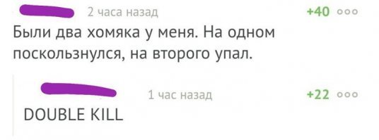 Шиншиллки-мотиваторы! Эти спасённые малыши помогают людям поверить в себя очень необычным способом!