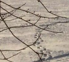 Слава Богу, что эти следы есть!