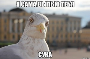 Картинки с надписями для настроения