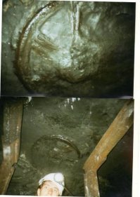 Окаменелость очень похожая на колесо,найдена на одной из Донецких шахт.