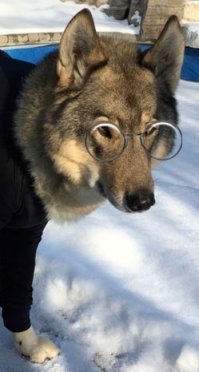 Теперь полный комплект.