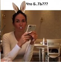 Кролик начал есть стул и очень скоро пожалел об этом