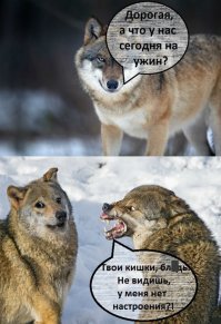 Женскому полу на заметку.Сытый муж с "разряженным" ружьём-добрый муж,а значит меньше ссор и больше взаимопонимания...