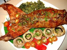 Житель Астаны нашел застрявшего в заборе и замерзшего насмерть зайца