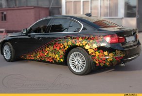 Автовсячина