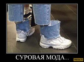 Подборка интересных и смешных фото 