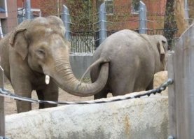 Фотоподборка за 25.01.2018