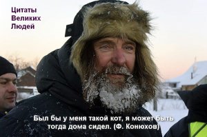 Картинки с надписями для настроения