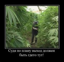 11 парадоксов, которые не укладываются в голове