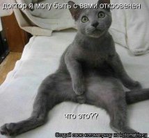 Американец сделал косплей на здоровяка Мауи из «Моаны»