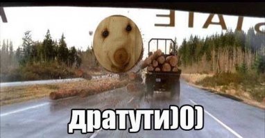 12-летнюю школьницу чуть не обезглавил телефонный кабель