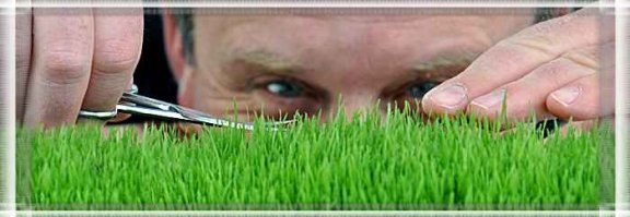 Перфекционисты, они такие.