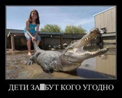 Смешные комментарии и высказывания из социальных сетей