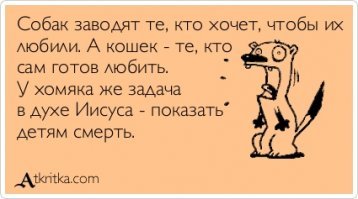 Жил у меня хомяк