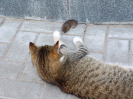 1. Привет из 90-х. 2. Любимая игрушка.