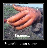 Смешные комментарии и высказывания из социальных сетей