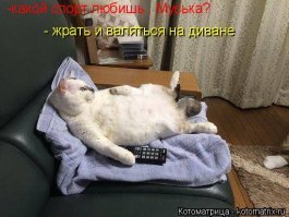 Позанудствую))) Написано же - каждый россиянин, сие значит что каждый из 147 миллионов!
Включая стариков, женщин, детей.......

А в реальности пиво пьют регулярно миллионов 40 наверно......ну т.е. хоть раз в месяц полторашку. Из этих 40 каждую неделю наверно миллионов 20-30 , и только 10 наверно чуть ли не каждый день, а возможно и каждый день (по себе знаю) после работы по полторашке, а чаще двушке.)))
В хлам не упиваешься, тем более если растягиваешь на 2-3 часа! 

Со временем кстати бросил т.к. ясно осознал что это ЗОМБИ-РЕЖИМ! Вроде не пьян НО так влом что либо делать, только тупо на диване валятся!