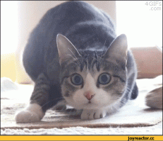 Картинки с надписями для настроения