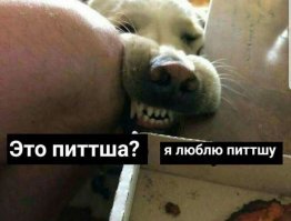 Это вы про газовую, или электрическую духовку? У вас какая?
