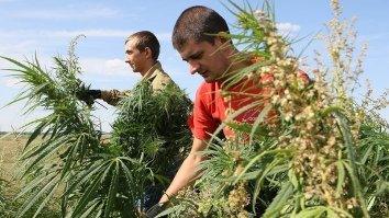 Аффтар скромно умолчал про то, как они с молодым бойцом при помощи двух шинелей и 3 литрового бутля вина и местой травы повязали на кукурузном поле отряд американских морских котиков, собиравшихся через Днестр форсировать Молдавско-Украинско-Американскую границу с целью ликвидации всех лебедей на местном озере, потому что думали, что один из них - генерал.