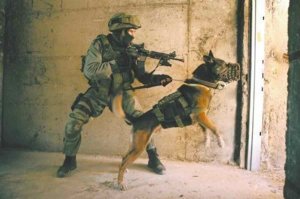 А может за девочкой еще кто-то стоял, но не успел войти под камеру?