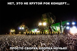 Картинки с надписями для настроения