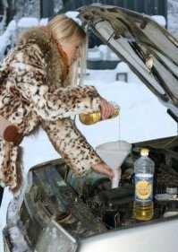 Автовсячина