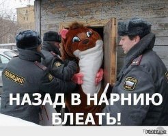 Водитель прокатил на капоте сотрудника ДПС