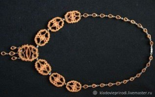 Маньчжурский орех в разрезе.