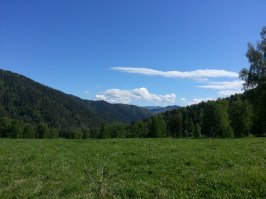 Тайга одному. Оригинальная статья