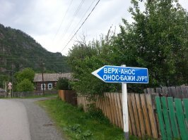 Тайга одному. Оригинальная статья