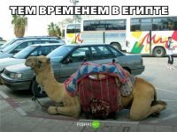 Автор ты ли подписывал страны? На счёт Египта ты перебрал поскольку это Израиль. 
Теперь незнаю как доверять всей твоей остальной инфе.