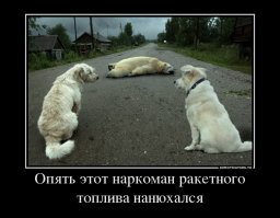 25 фактов о России, которых вы не знали. И мы не знали