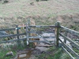 Вот калитки