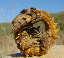 В Казани есть памятник зверюге с заглавной картинки поста