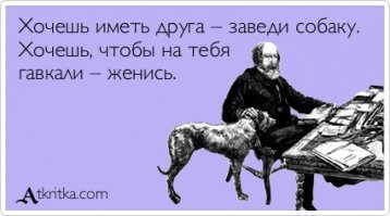 Хозяйка лежала в коме, а собака не отходила от нее ни на минуту