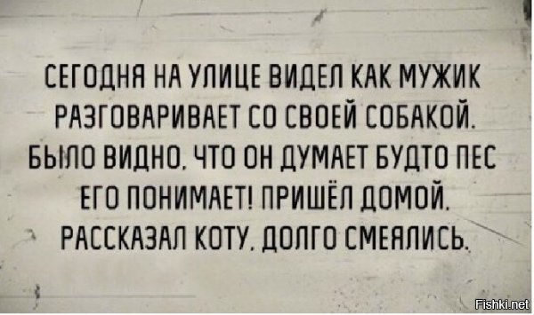 Пользователи интернета поделились забавными историями, которые произошли с их собаками