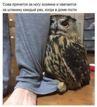 Я был прав:
