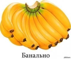 Ага)) Твёрдо стоишь на ногах!Всё как у людей.
Ты ещё наверно про себя думаешь "Столп общества, Отец нации"))))
Банальщина. Примитив.