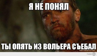 Драка двух водителей с перестрелкой попала на видео