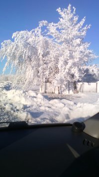 Самарская обл., Сызранский р-н., трасса Сызрань- Астрахань. Март 2017г.