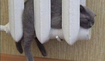 Секса с батареей