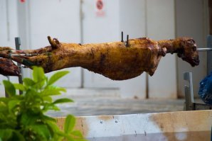 Веселые фотографии кота, влюбившегося в обогреватель