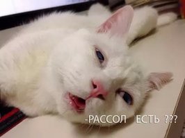 А наутро...